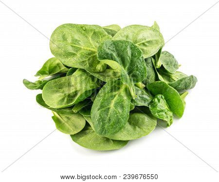 Fresh Spinach Leaves