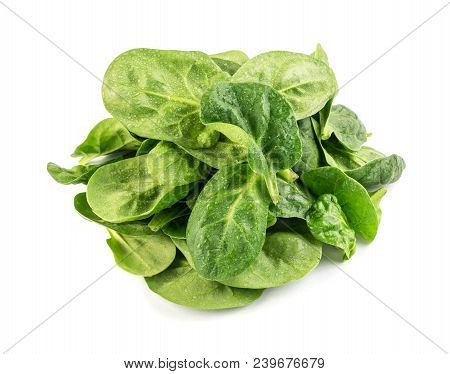 Fresh Spinach Leaves