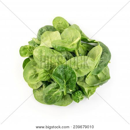 Fresh Spinach Leaves