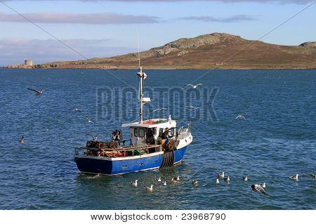 Malé rybářské lodi Howth