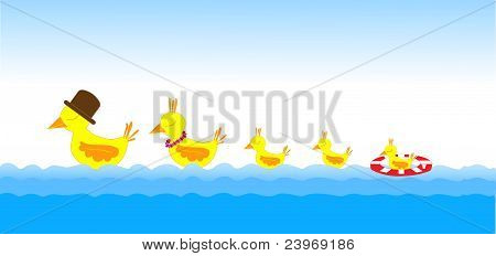 Familia de aves en el mar