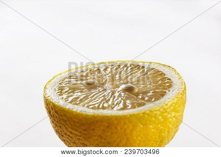 Half Lemon Citrus Fruit Isolated On White Background. Clipping Path. Copy Space