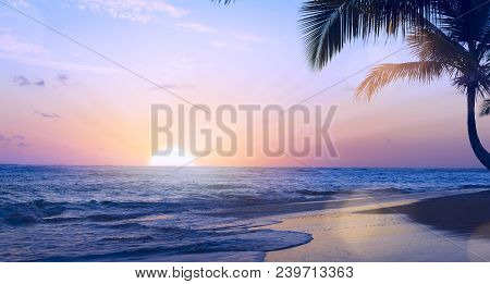 Art Summer Tropical Vacation Drims; Beautiful Sunset Over The Tropical Beach