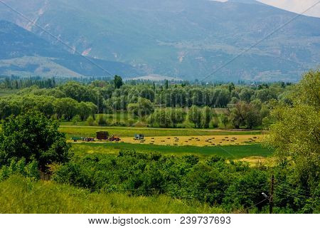 Beautiful Green Landscape From The Coast Of Eber Lake In Afyon Province