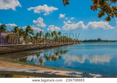 Cienfuegos, Cuba: Promenade In The City, Coconut Palm Trees Are Reflected In The Water. Sunny Day Wi