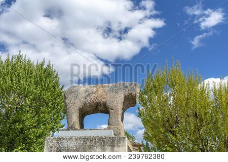 Salamanca Iberian Verraco Stone Sculpture In Spain