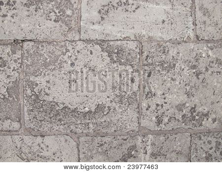 Kivi-lattia