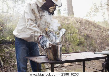 Beekeeper Is Working With Bees And Beehives On The Apiary.bee Smoker - Beekeepers Tool To Keep Bees 