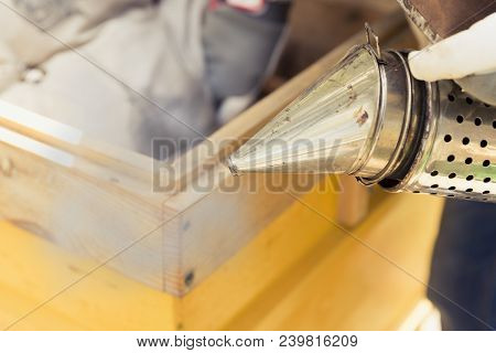Beekeeper Is Working With Bees And Beehives On The Apiary.bee Smoker Is Used - Beekeepers Tool To Ke