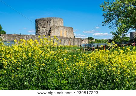 Ruins Of Koporye Fortress In Leningrad Region Near Saint-petersburg, Russia