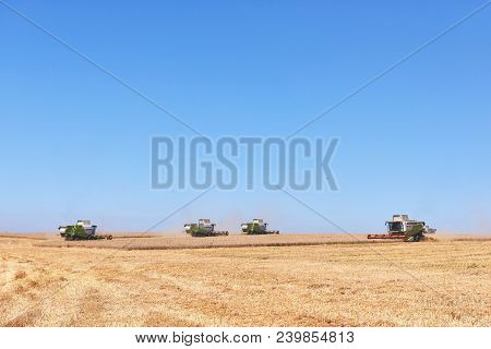 Ternopil - July 20: A Few Combines Cutting A Swath Through The Middle Of A Wheat Field During Harves