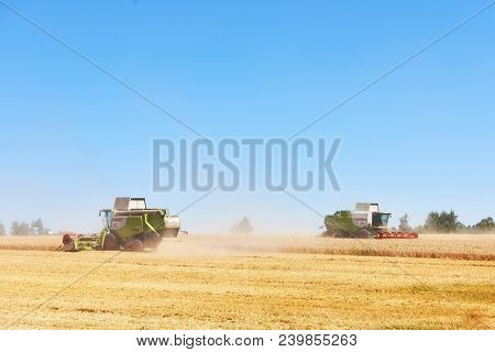 Ternopil - July 20: A Few Combines Cutting A Swath Through The Middle Of A Wheat Field During Harves