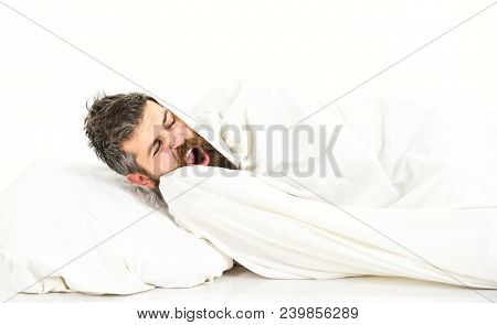 Weekend Leisure Concept. Man With Yawning Face Lies On Pillow Under Blanket. Guy With Beard Hides Un