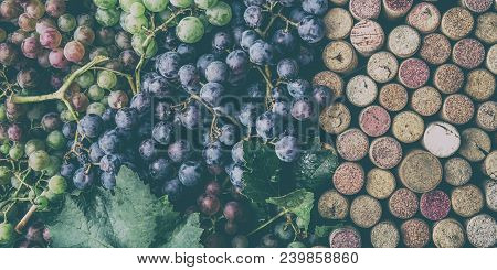 Background For Text. Wine Concept. Wine Corcs And Wine Grapes. Top View. Copy Space.