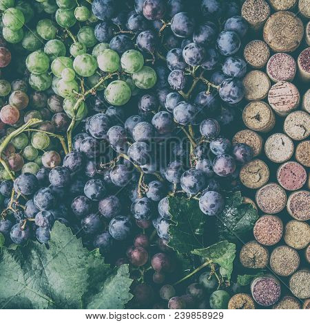 Background For Text. Wine Concept. Wine Corcs And Wine Grapes. Top View. Copy Space.