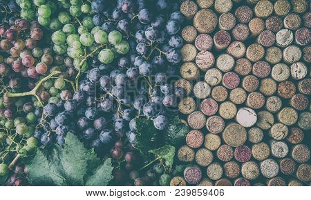 Background For Text. Wine Concept. Wine Corcs And Wine Grapes. Top View. Copy Space.