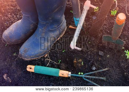 Agriculture Rural Background. Farmer Rubber Boots And Equipment In A Garden.