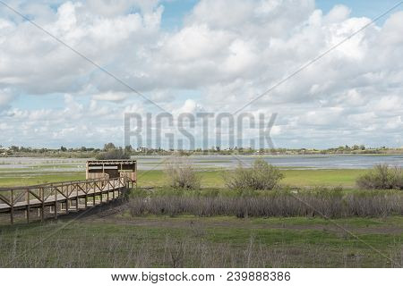 Lagoon Of The Tollos, Located On The Border Between The Municipal Areas Of Jerez De La Frontera Prov