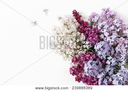 Styled Stock Photo. Spring Feminine Scene, Floral Composition. Bunch Of Beautiful Blossoming Purple 