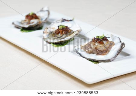 Oysters On The Half Shell Appetizer, Shellfish, Mollus