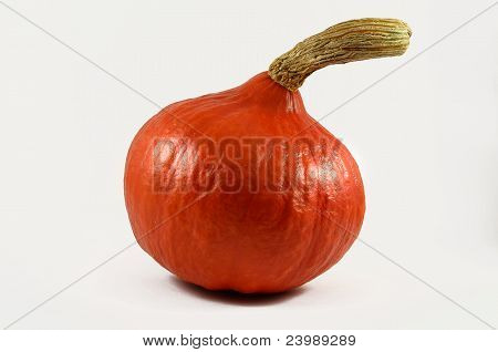 Kurpitsa