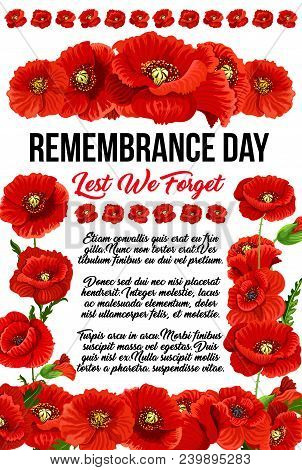 Creative Design For Remembrance Day With Red Poppies Isolated On White Background. Red Text Lest We 