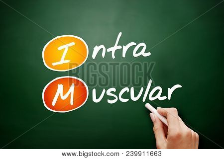 Im - Intramuscular Acronym, Concept On Blackboard