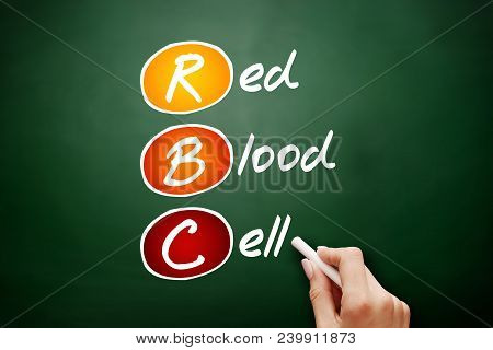 Rbc - Red Blood Cell Acronym, Concept On Blackboard