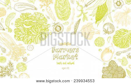 Vegetarian Background With Natural Organic Products. Hand Drawn Vector Illustration. Organic Vegetab