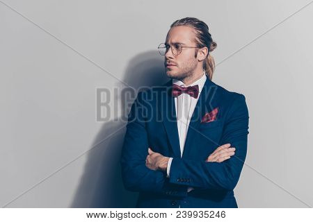 Portrait Of Elegant Bearded Man In Spectacles, Blue Jacket, White Shirt  With Red Bow-tie, Pocket Sq
