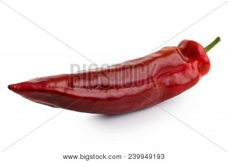 Ramiro Sweet Pointed Pepper Isolated On White.