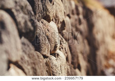 Background From A Stone Medieval Hedge. Macro Photography. Selective Focus