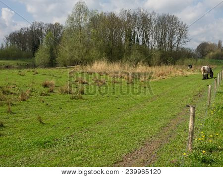 the netherlands near the City of eibergen