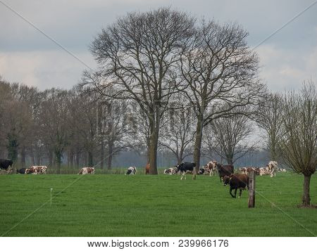 the netherlands near the City of eibergen