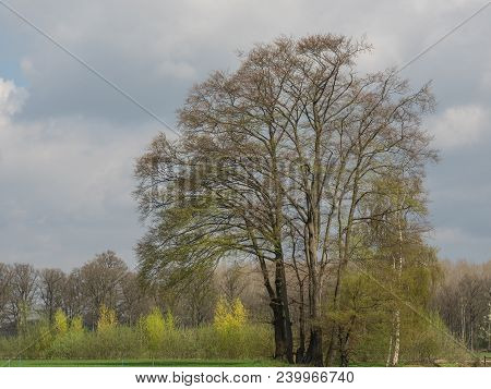 the netherlands near the City of eibergen