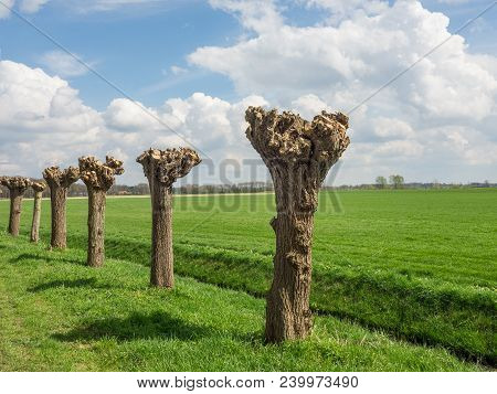the netherlands near the Village of eibergen