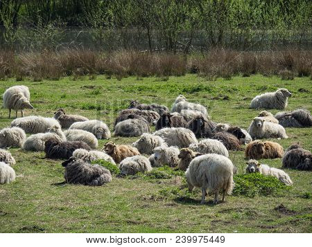 the netherlands near the Village of eibergen
