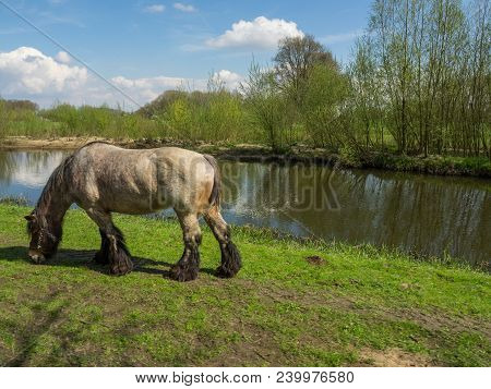 the netherlands near the Village of eibergen