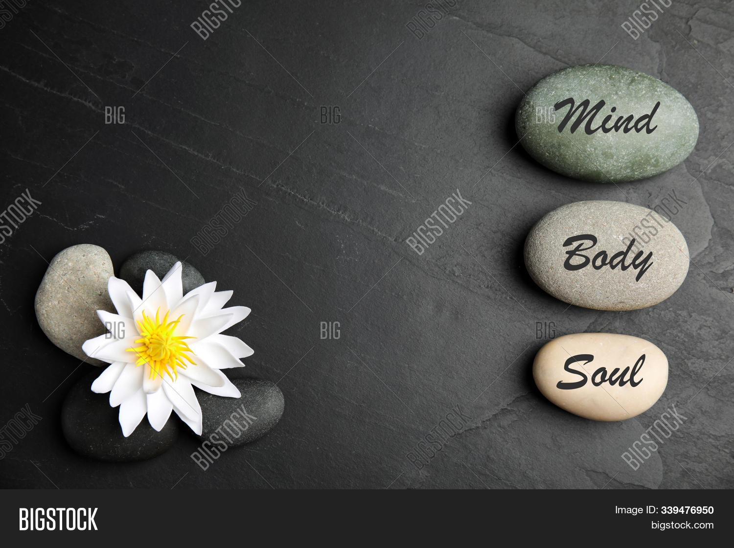Lotus Flower Stones Image Photo Free Trial Bigstock