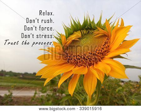 Inspirational Motivational Quote - Relax. Do Not Rush, Force, And Stress. Trust The Process. With Ba