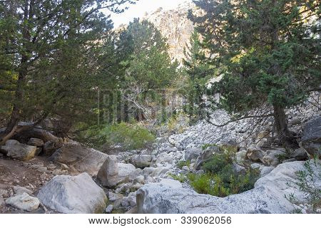 Mountains Of Avakas Gorge In Autumn. Hiking In The Gorge.