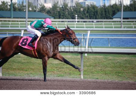 Gulfstream Racing