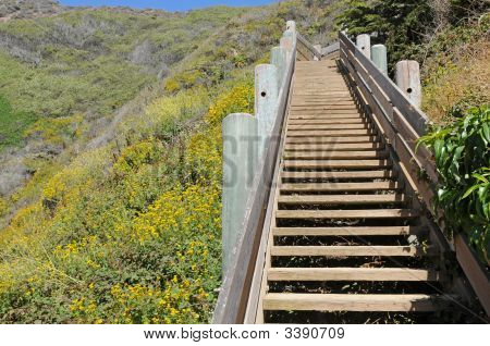 Starway