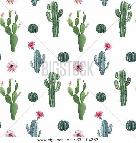 Beautiful Vector Watercolor Cactus Seamless Pattern. Hand Drawn Stock Illustrations. White Backgroun