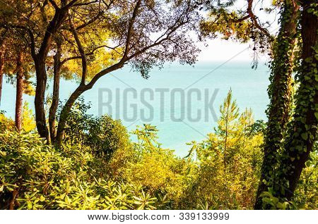 View On Adriatic Sea Through The Rich Green Overgrown Forest On The Mountains In Numana, Province Of