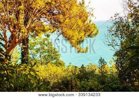 View On Adriatic Sea Through The Rich Green Overgrown Forest On The Mountains In Numana, Province Of