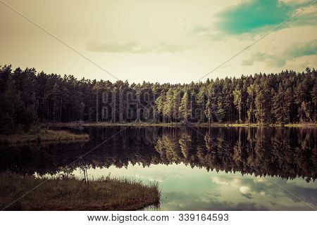 Forest Reflection In Calm Water Of Dystrophic Lake