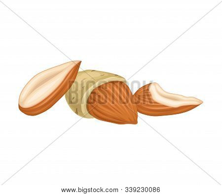 Whole Almond Nut And Half Split Isolated On White Background Vector Item
