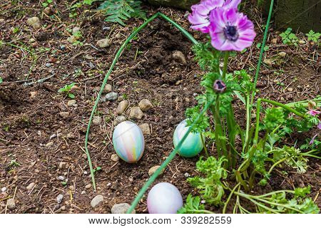 Three Easter Eggs Hidden In Flower Garden Near Forget-me-not