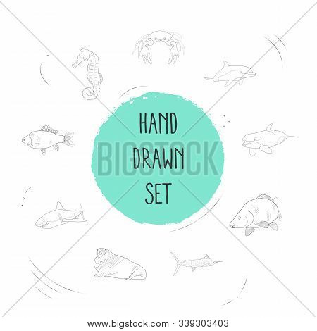 Set Of Seafood Icons Line Style Symbols With Crucian, Atlantic Bottlenose Dolphin, Sea Horse And Oth